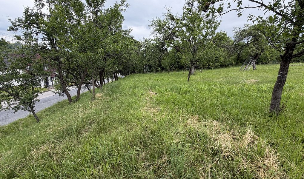 Prodej stavebního pozemku 1 536 m², Bojkovice – náhled fotky 7