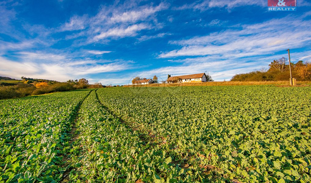 Prodej louky 3 850 m², Mladotice – náhled fotky 5