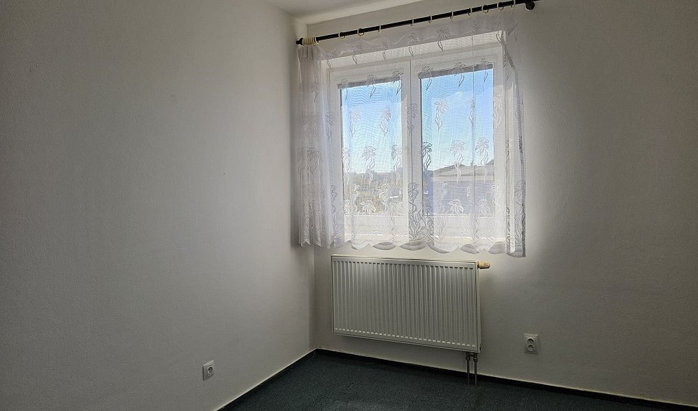 Pronájem bytu 2+kk 42 m², Plzeň – náhled fotky 13