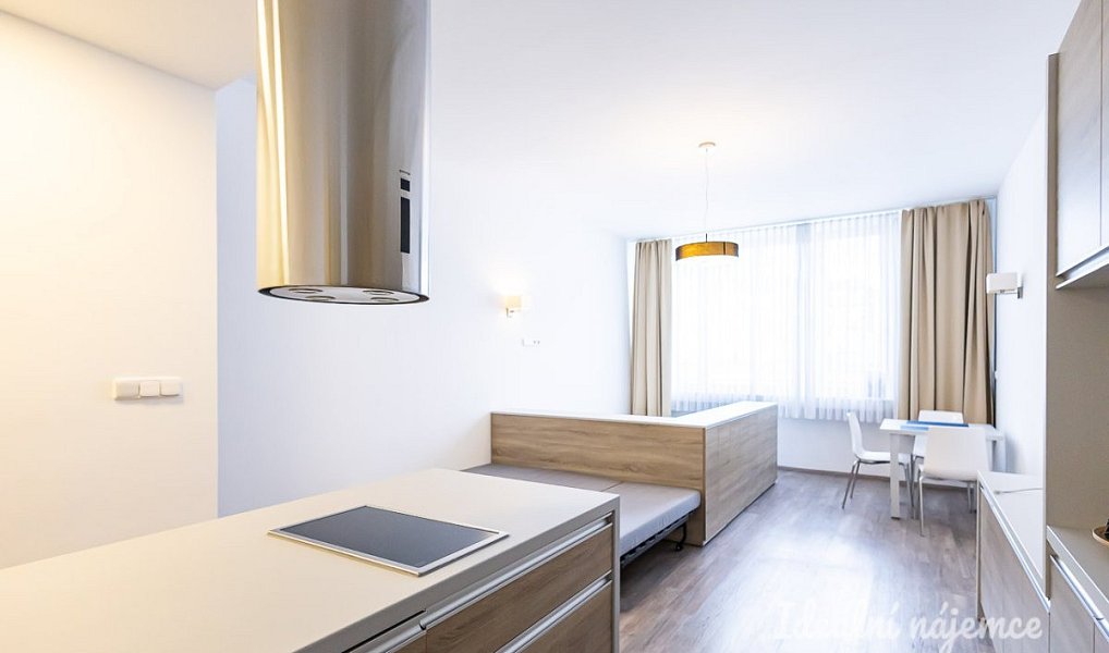 Pronájem bytu 1+kk 38 m², Praha – náhled fotky 3