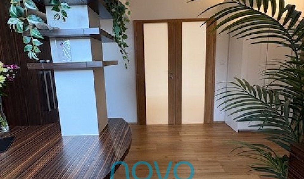Pronájem bytu 3+1 115 m², Praha – náhled fotky 24