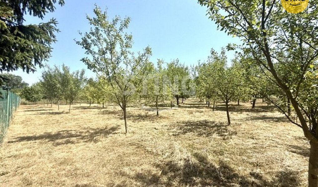 Prodej zahrady 4 652 m², Strážnice – náhled fotky 4