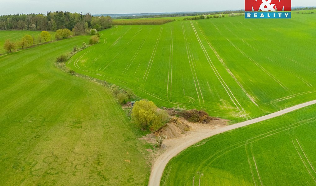 Prodej louky 730 m², Olešnice – náhled fotky 4