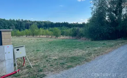 Prodej stavebního pozemku 3 256 m², Olšany, okres Vyškov
