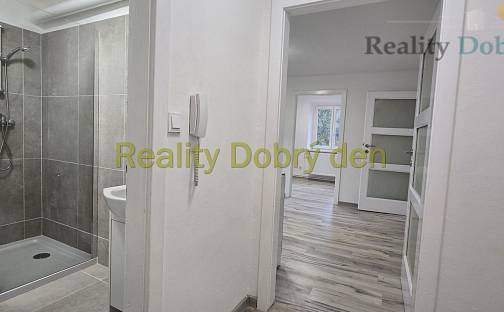 Pronájem bytu 2+1 48 m², Těšínská, Opava - Předměstí