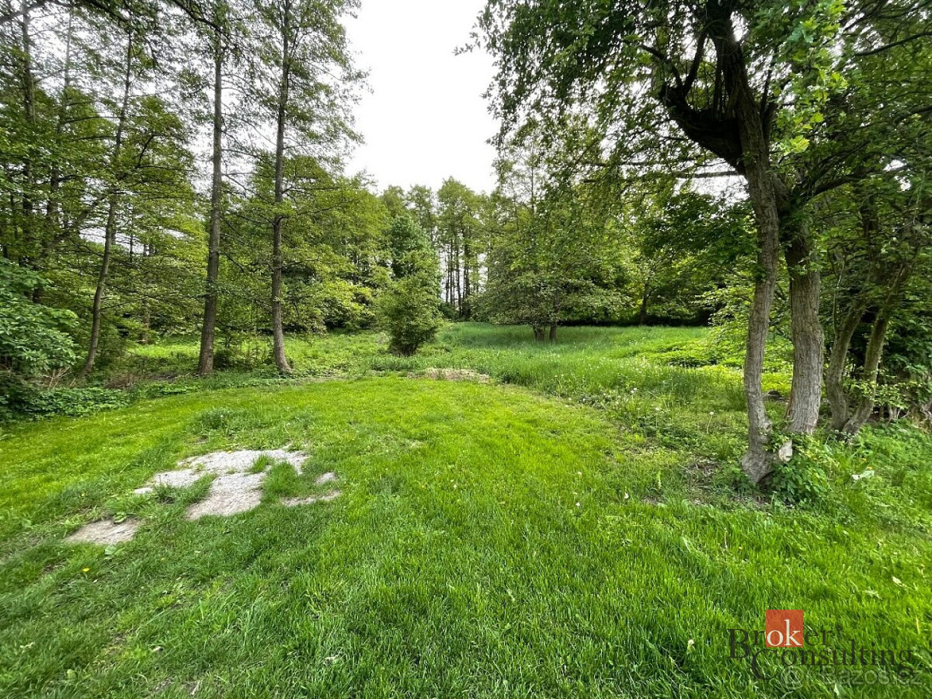 Prodej pozemku 24 584 m² – fotografie 3