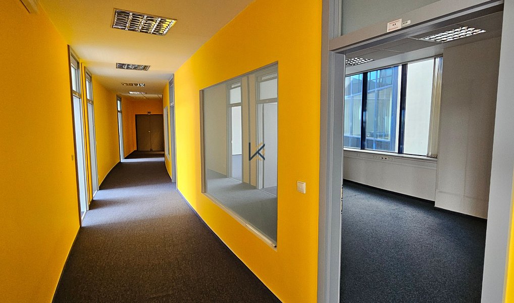 Pronájem kanceláře 555 m², Nupaky – náhled fotky 2