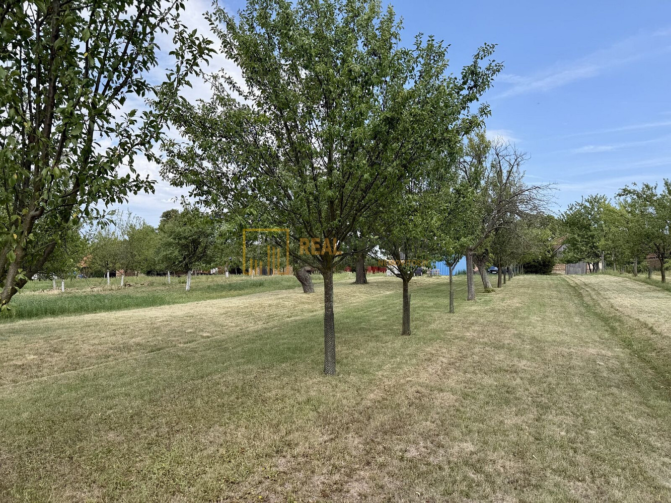 Prodej pole 8 142 m² – fotografie 5
