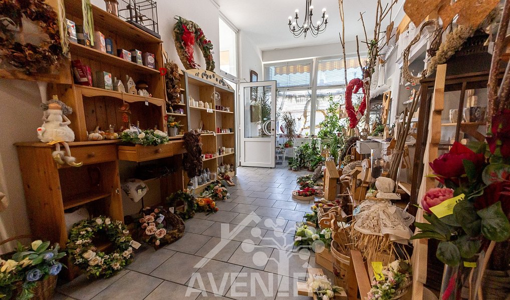 Prodej komerčního objektu (jiného typu) 329 m², Ratíškovice – náhled fotky 18