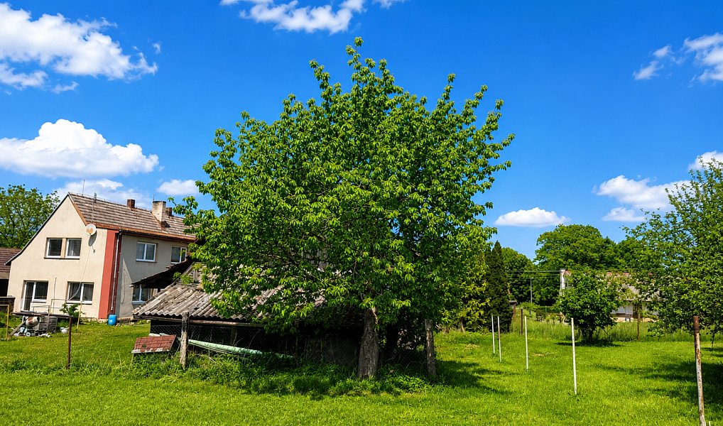 Prodej domu 200 m² s pozemkem 5 269 m², Sběř – náhled fotky 3