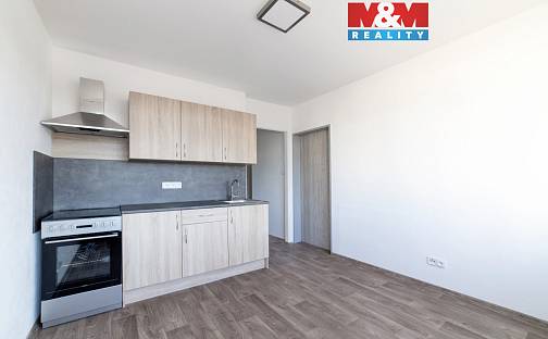 Pronájem bytu 1+1 40 m², Nádražní, Sokolov