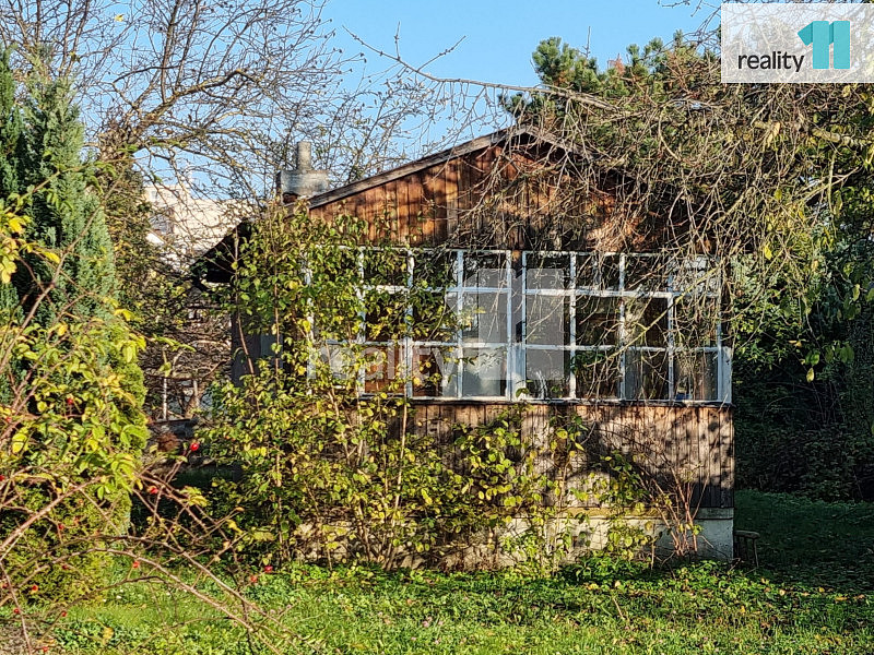 Pronájem stavebního pozemku 1 167 m² — photo 3