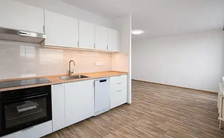 Pronájem bytu 4+1 88 m², J. A. Komenského, Most
