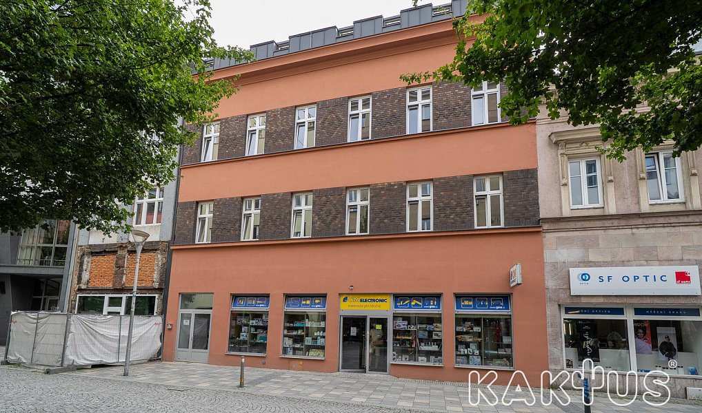 Pronájem bytu 1+1 42 m², Ostrava – náhled fotky 10