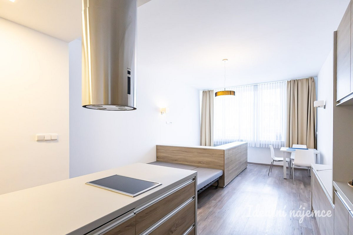Pronájem bytu 1+kk 38 m² – fotografie 3