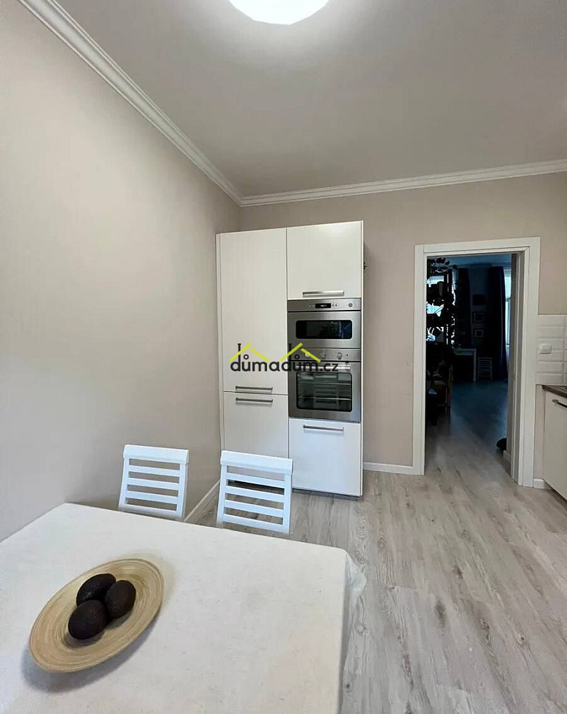 Pronájem bytu 1+1 47 m² — photo 3