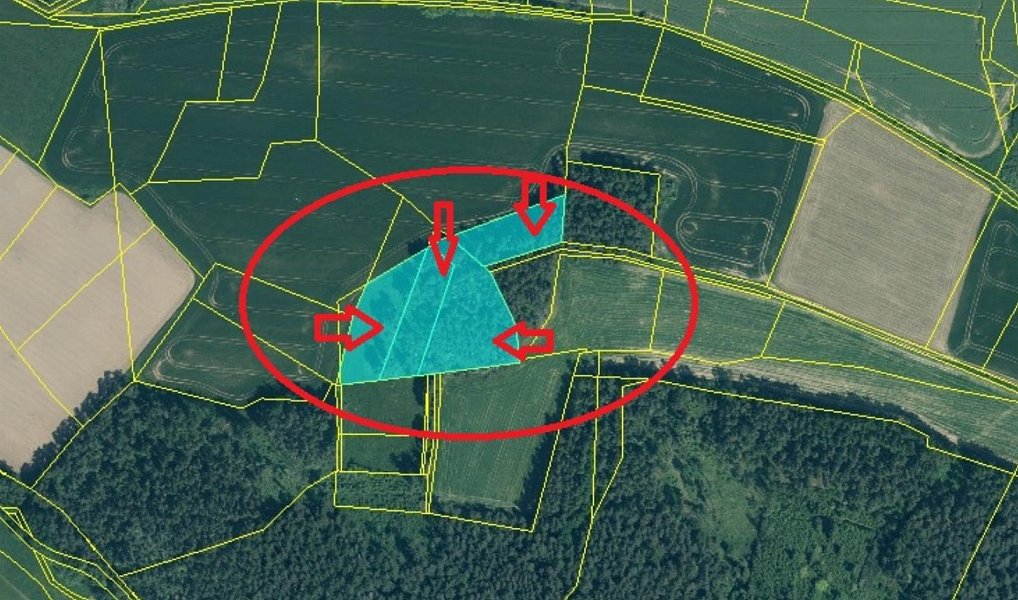 Prodej lesa 3 827 m², Krejnice – náhled fotky 12