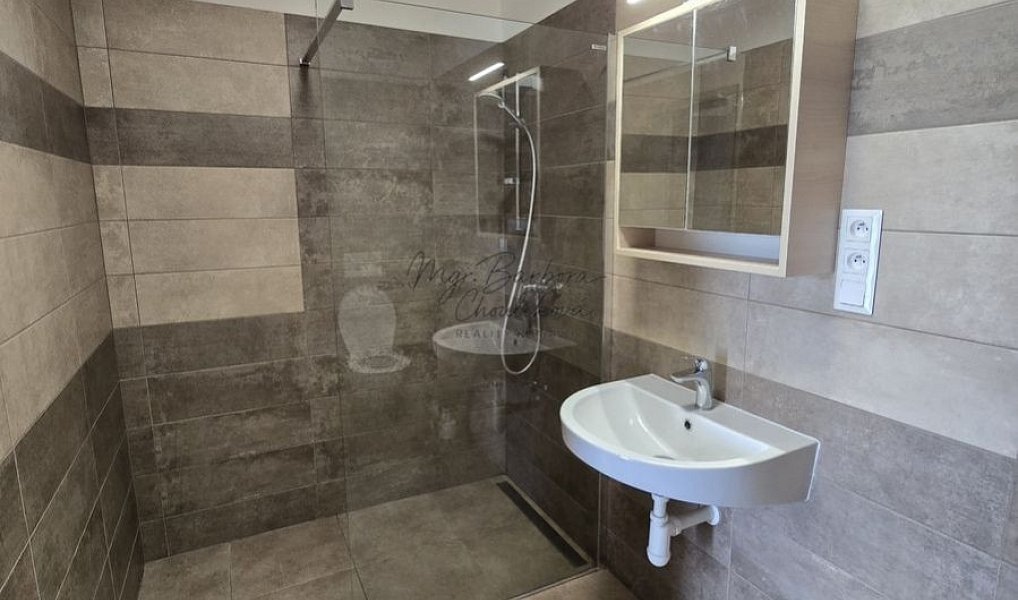 Pronájem bytu 2+kk 44 m², Blovice – náhled fotky 8