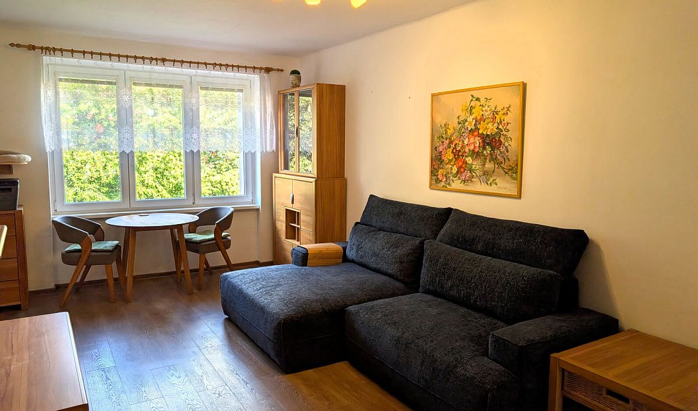 Prodej bytu 3+kk 68 m², Ústí nad Labem – náhled fotky 5