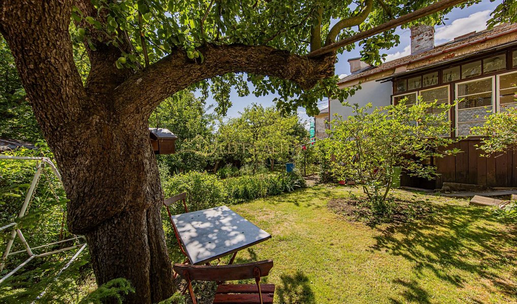 Prodej domu 120 m² s pozemkem 629 m², Vrbno pod Pradědem – náhled fotky 9