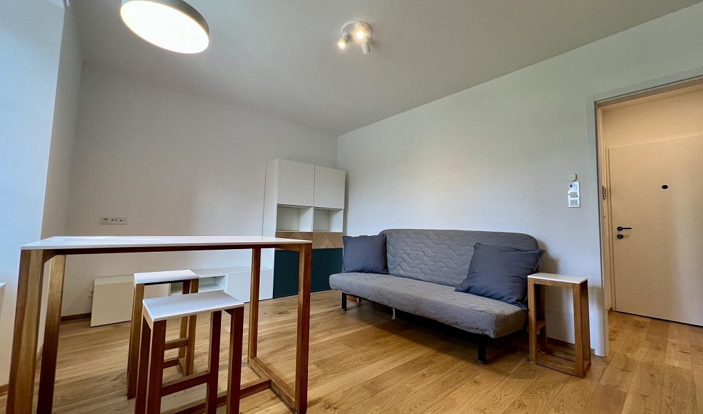 Pronájem bytu 1+kk 27 m², Praha – náhled fotky 3