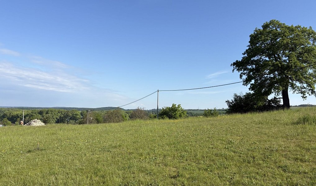 Prodej stavebního pozemku 3 521 m², Vračovice-Orlov – náhled fotky 8