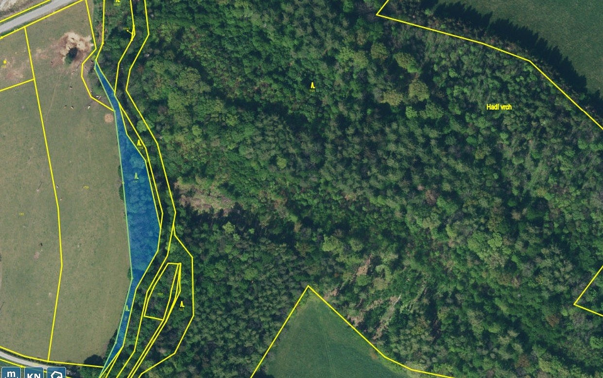 Prodej lesa 3 247 m²