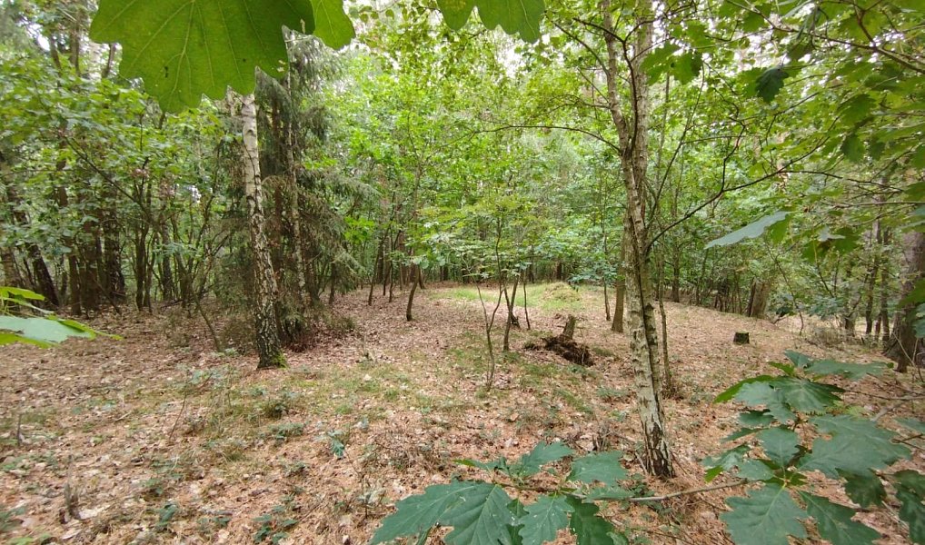 Prodej louky 10 524 m², Boseň – náhled fotky 7