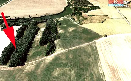 Prodej pole 5 686 m², Čejč, okres Hodonín