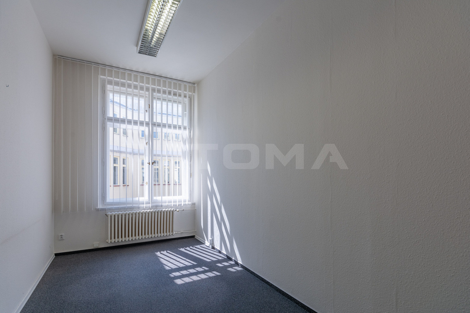 Fotka 10 z 13