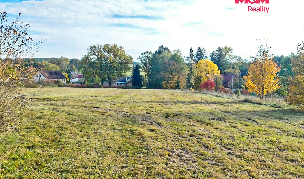 Prodej stavebního pozemku 9 359 m², Pertoltice – náhled fotky 4