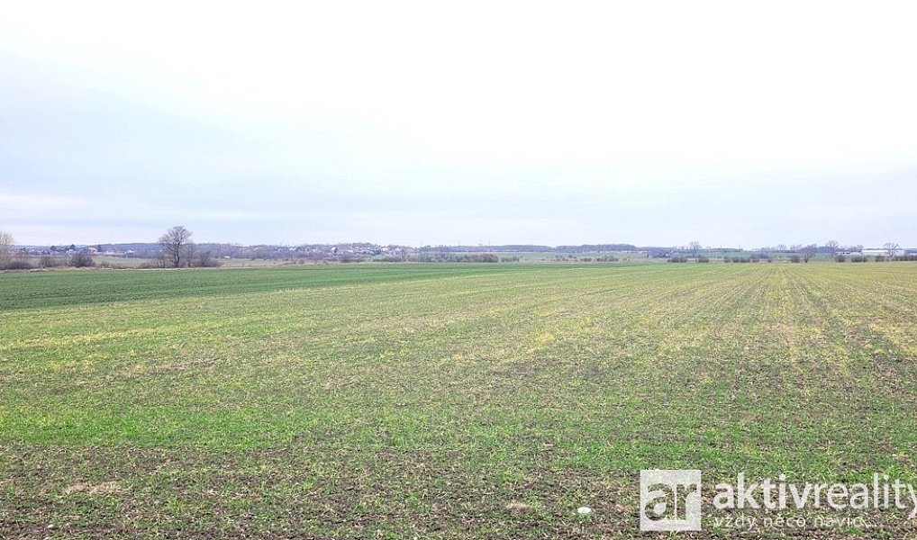Prodej pole 7 464 m², Kostelec nad Labem – náhled fotky 2
