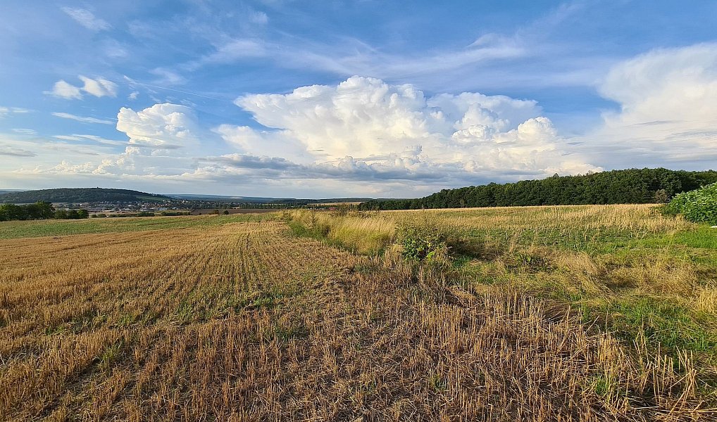 Prodej komerčního pozemku 22 239 m², Plzeň – náhled fotky 25