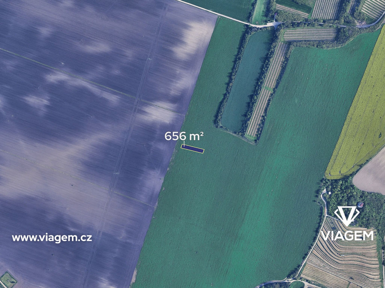 Prodej pole 656 m² – fotografie 2