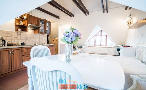 Prodej bytu 1+kk 34 m², Červený kopec, Brno - Štýřice