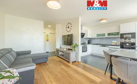 Prodej bytu 3+1 54 m²