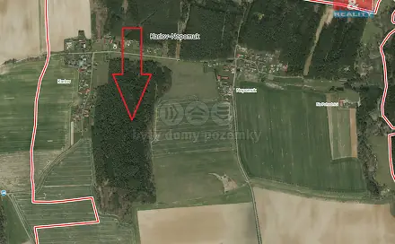 Prodej lesa 6 005 m², Dražíč, okres České Budějovice