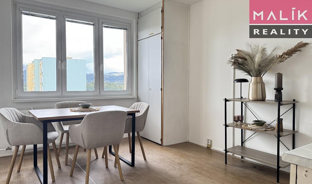 Prodej bytu 1+1 37 m², Ostrov – náhled fotky 2