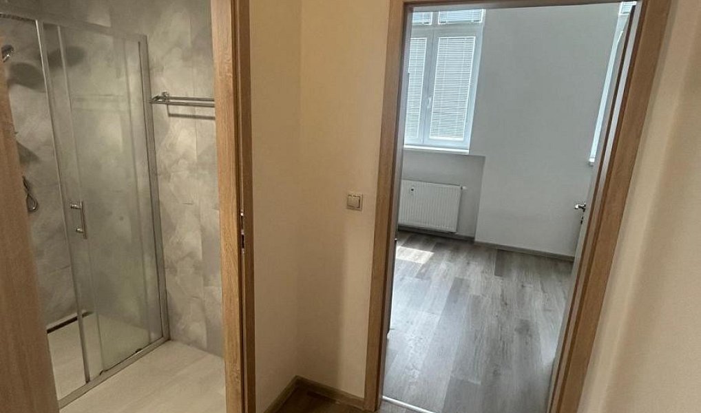 Pronájem bytu 1+kk 30 m², Teplice – náhled fotky 11
