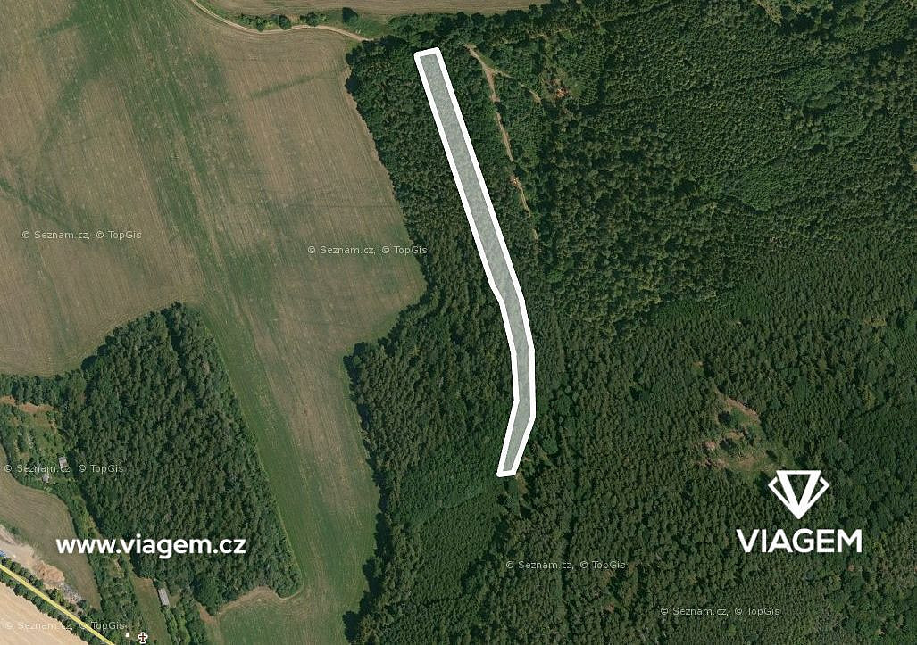 Prodej lesa 859 m² – pohled 2