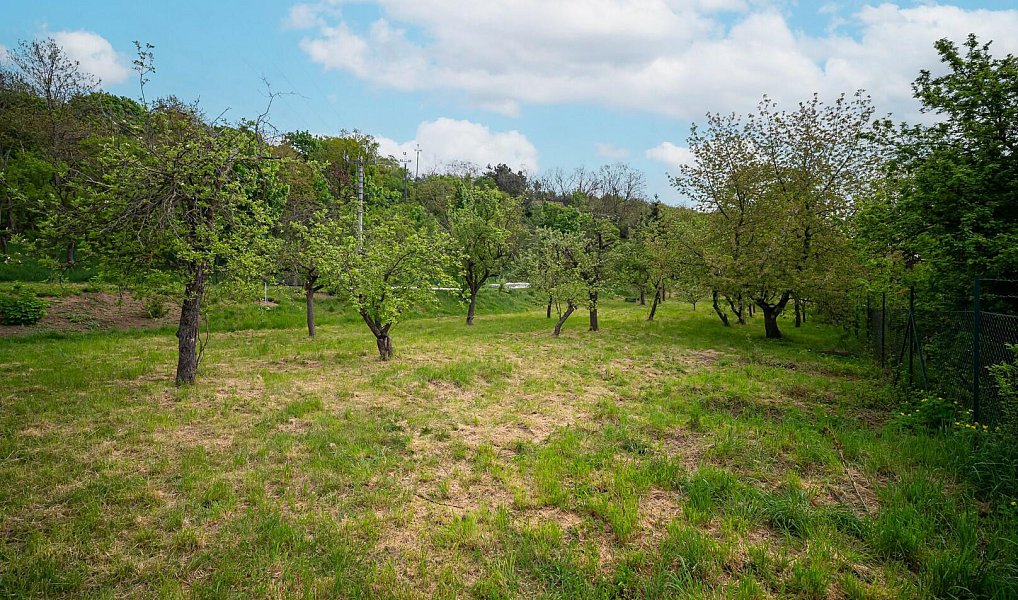 Prodej zahrady 1 052 m², Pozořice – náhled fotky 11