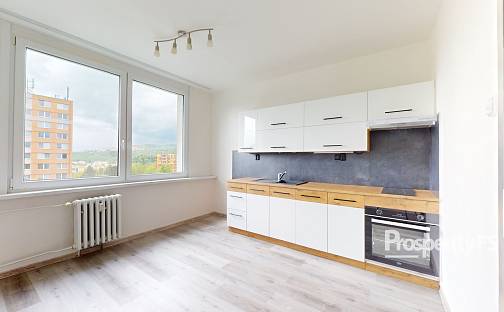 Pronájem bytu 1+1 41 m², Rozcestí, Ústí nad Labem - Krásné Březno