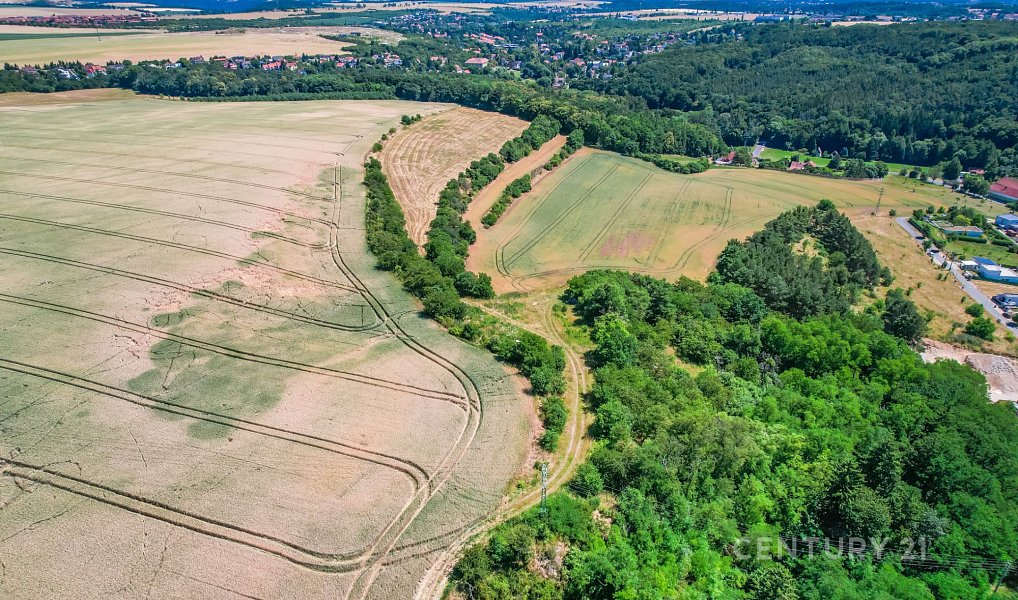 Prodej pole 1 495 m², Statenice – náhled fotky 9