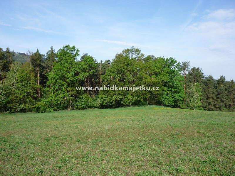 Prodej lesa 16 015 m²