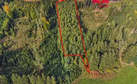 Prodej lesa 8 513 m², Vidochov, okres Jičín