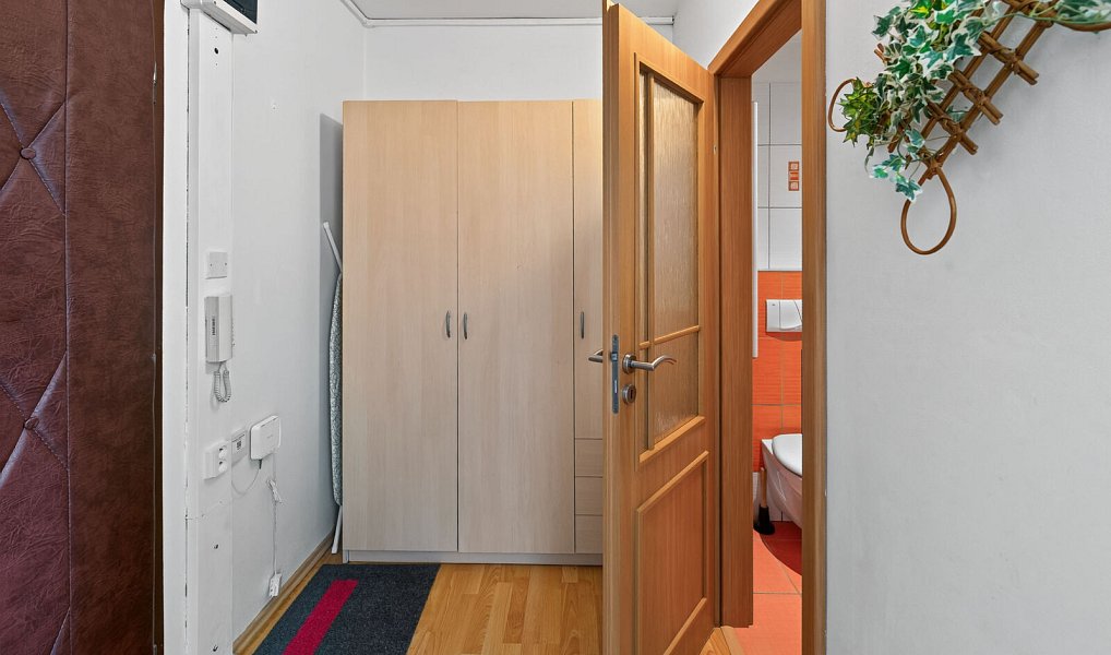 Prodej bytu 1+kk 30 m², Praha – náhled fotky 7
