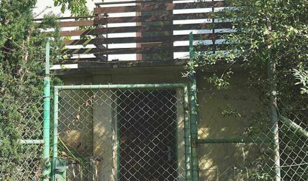 Prodej specifického typu nemovitosti 30 m2, Heřmanův Městec – náhled fotky 21