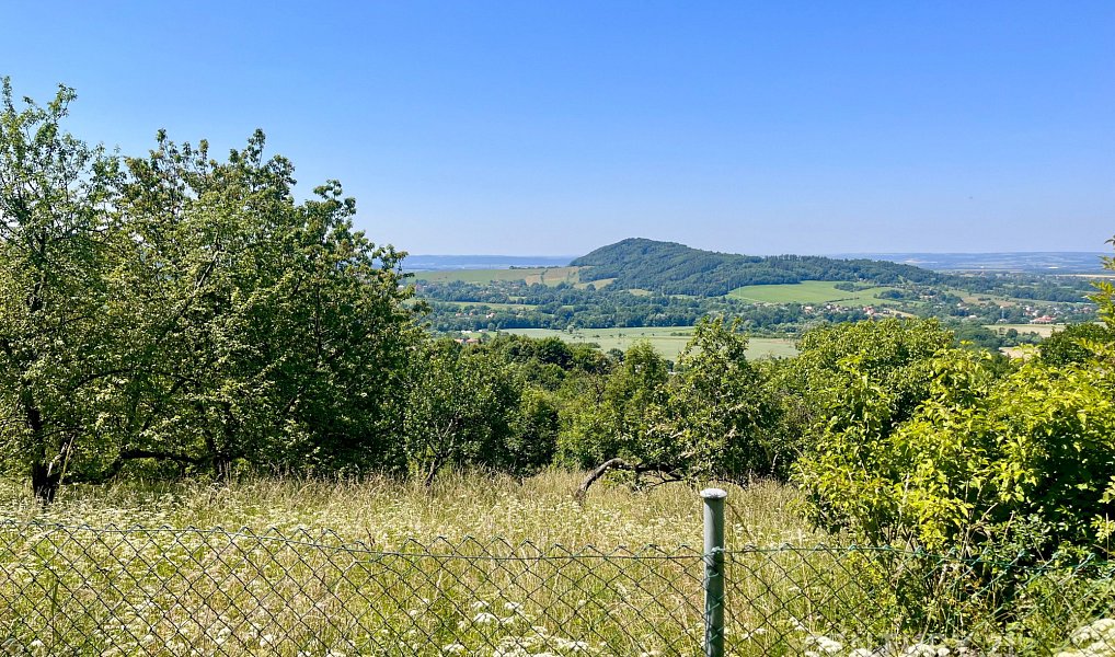 Prodej zahrady 4 971 m², Štramberk – náhled fotky 4