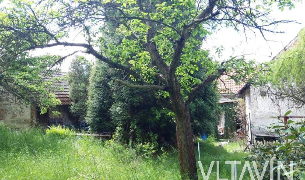 Prodej domu 150 m² s pozemkem 3 266 m², Mělník – náhled fotky 11