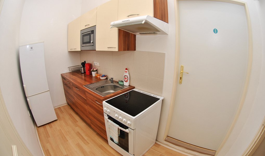 Pronájem pokoje 55 m², Brno – náhled fotky 3